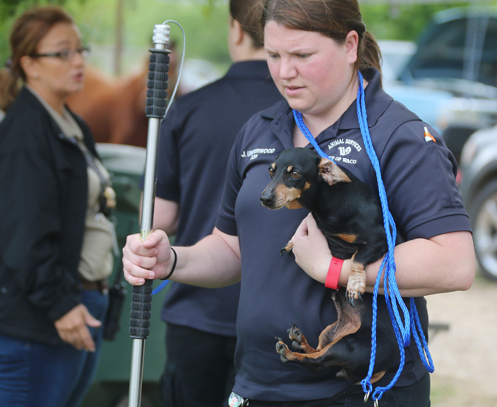 Animal cruelty case